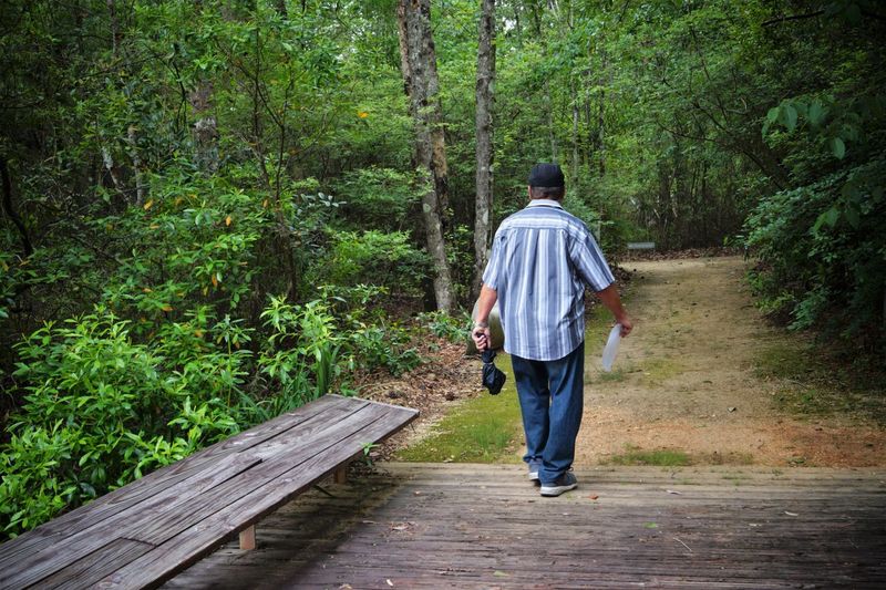 Rear view of man walking on footpath in forest