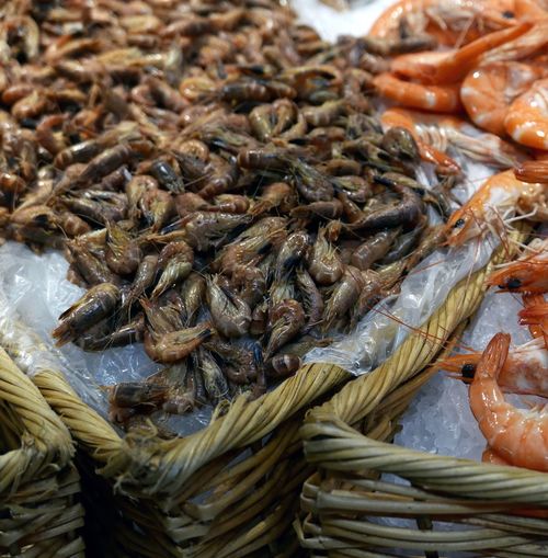 Close-up of shrimps and crayfish in fish market