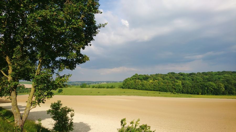 Scenic view of landscape against sky