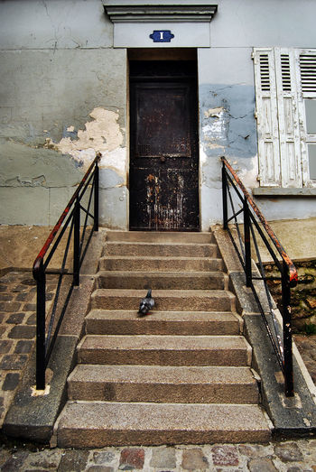 Staircase in front of building