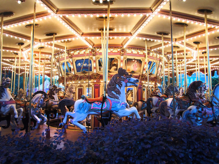 Illuminated carousel horses at amusement park