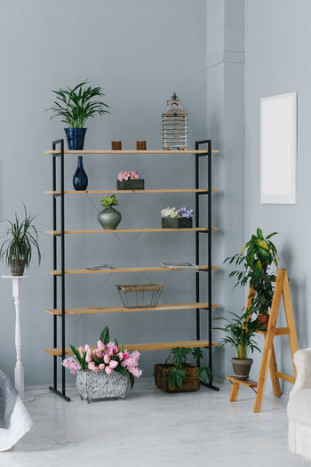 Shelving with a variety of decor in the living room or in the workshop at home