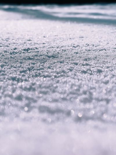 Close-up of frozen water on field