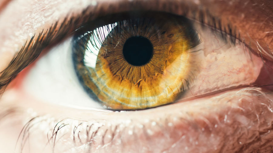 Brown iris eye close up