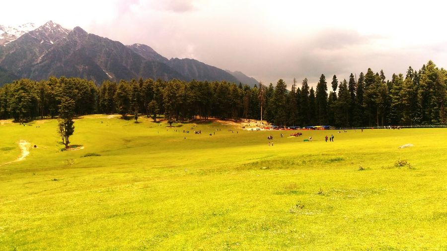 Scenic view of golf course against sky