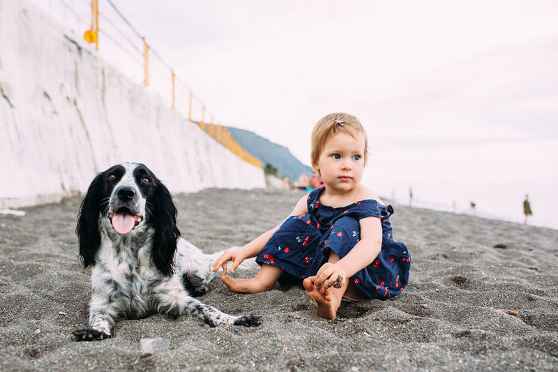 Little cute girl with russian cocker spaniel playing on the beach by the sea
