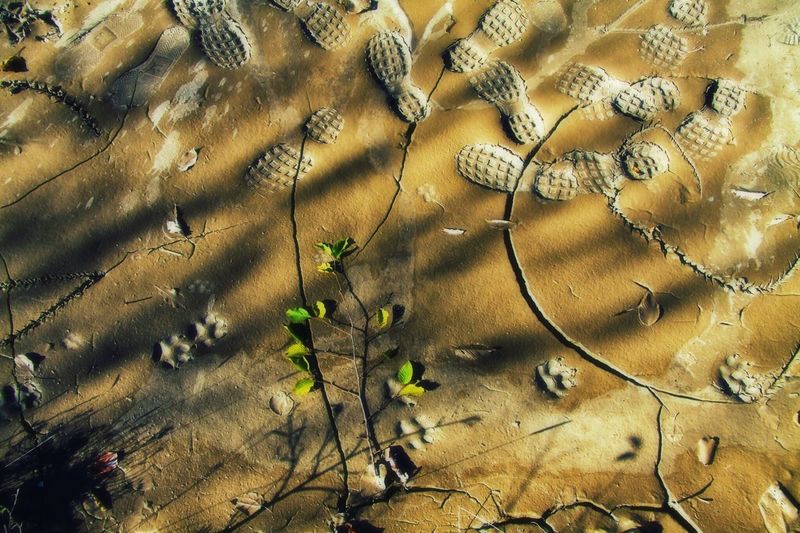 High angle view of shoe prints on sand