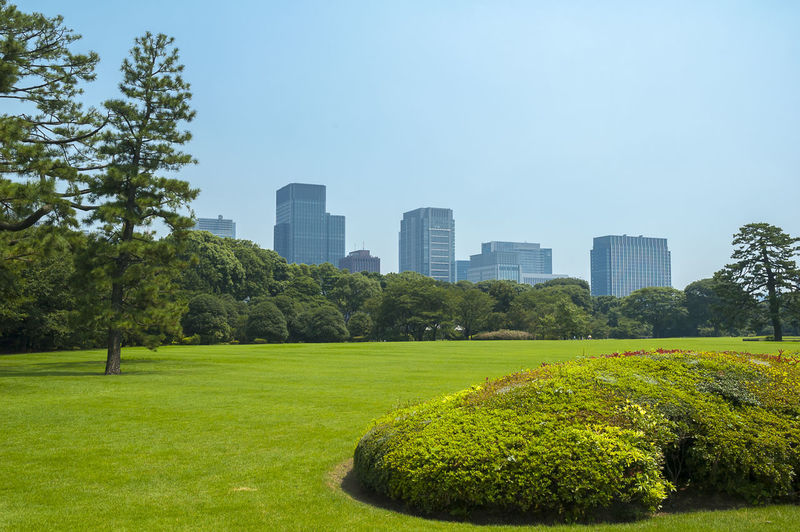 Scenic view of park against clear sky