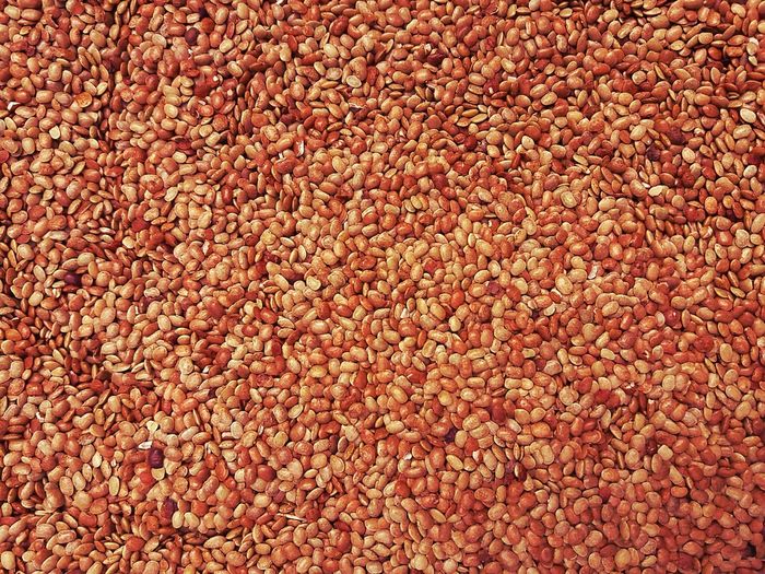 Picture of healthy seeds