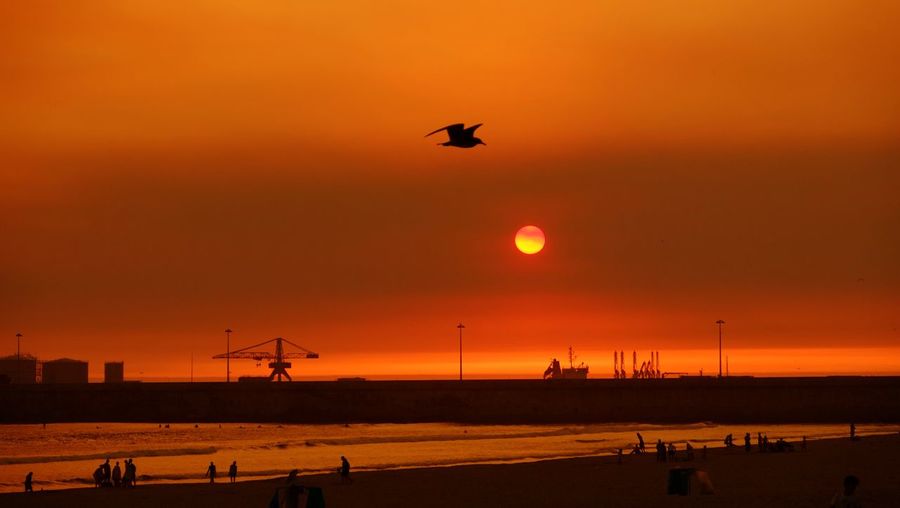 Silhouette birds flying over sea against orange sky and port