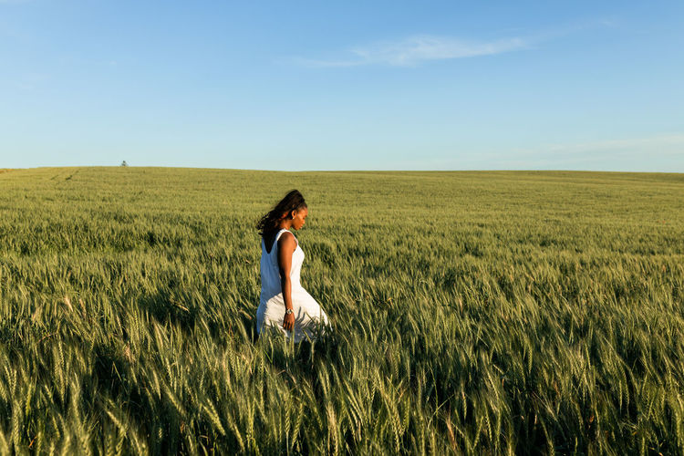 Side view young black lady in white summer dress strolling on green wheat field while looking down in daytime under blue sky