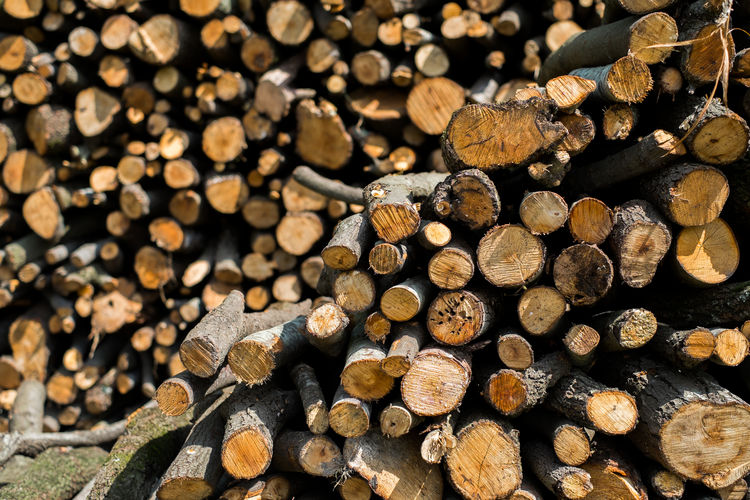 Full frame shot of logs in forest