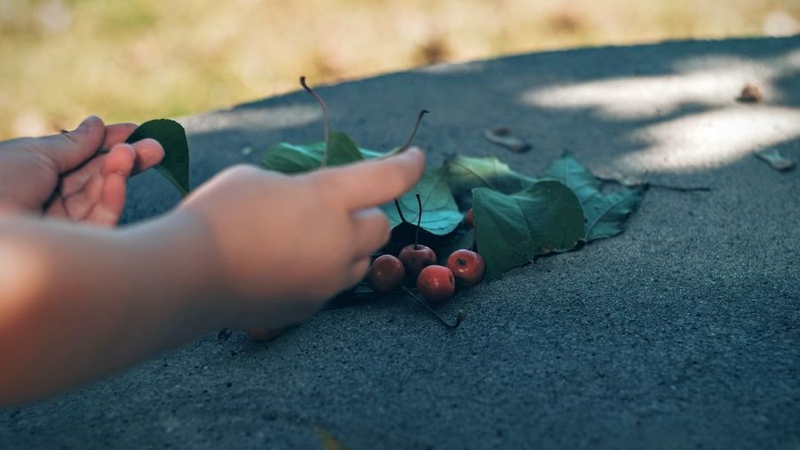 Cropped image of hands arranging berries and leaf on rock