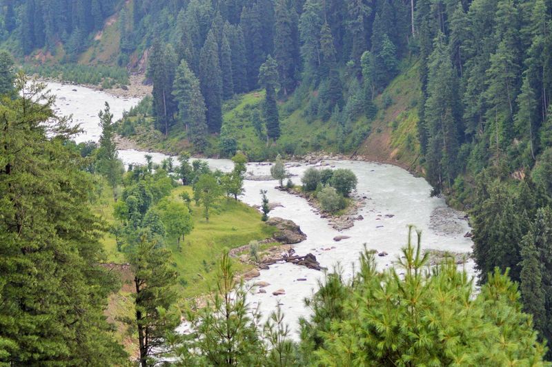 Beauty at its best. gushing river, pine trees, forest, crystal clear water. high angle view