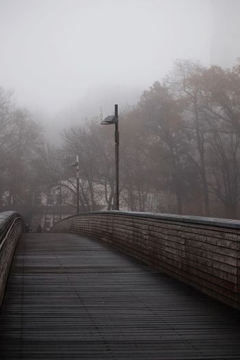 Footpath amidst trees against sky during foggy weather