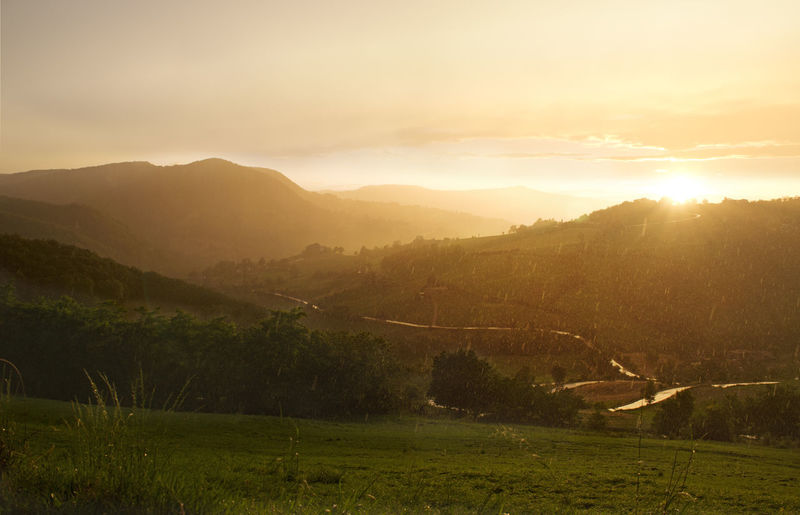Scenic view of field against sky during sunset