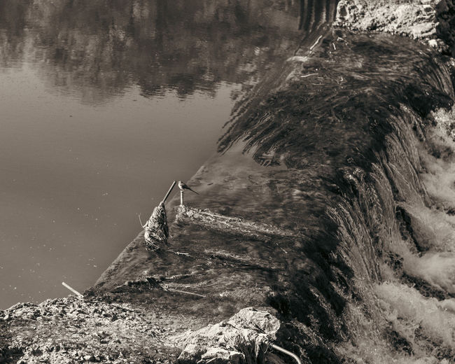 water