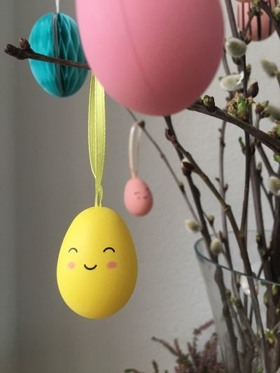 Close-up of raster eggs hanging on tree