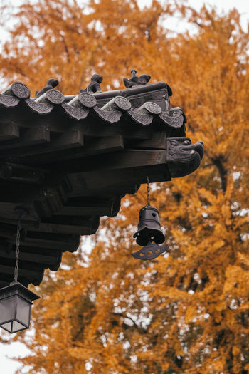 Low angle view of traditional building against sky during autumn