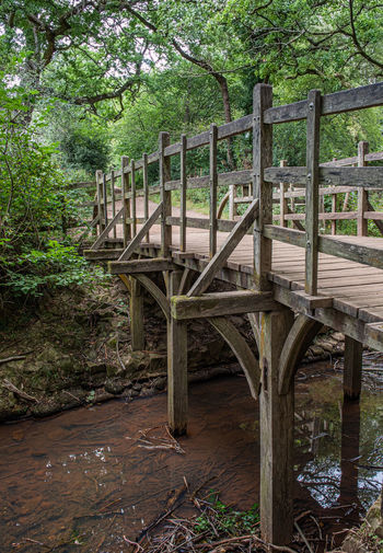 Empty bridge in forest
