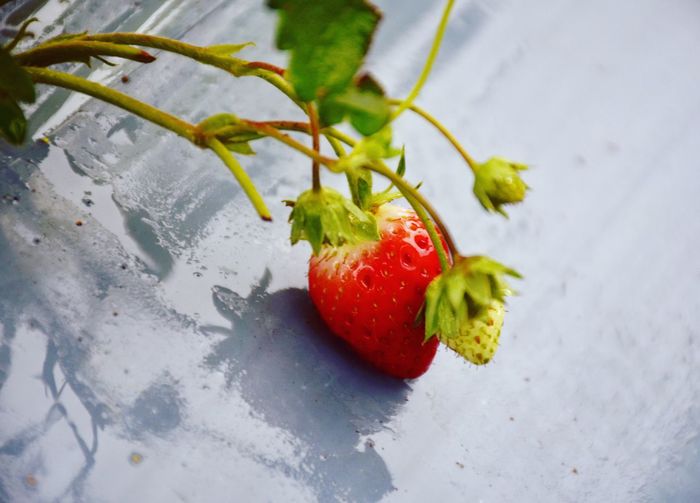 Close-up of strawberry on table