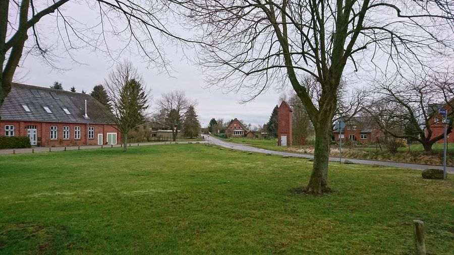 Trees and houses on field against sky