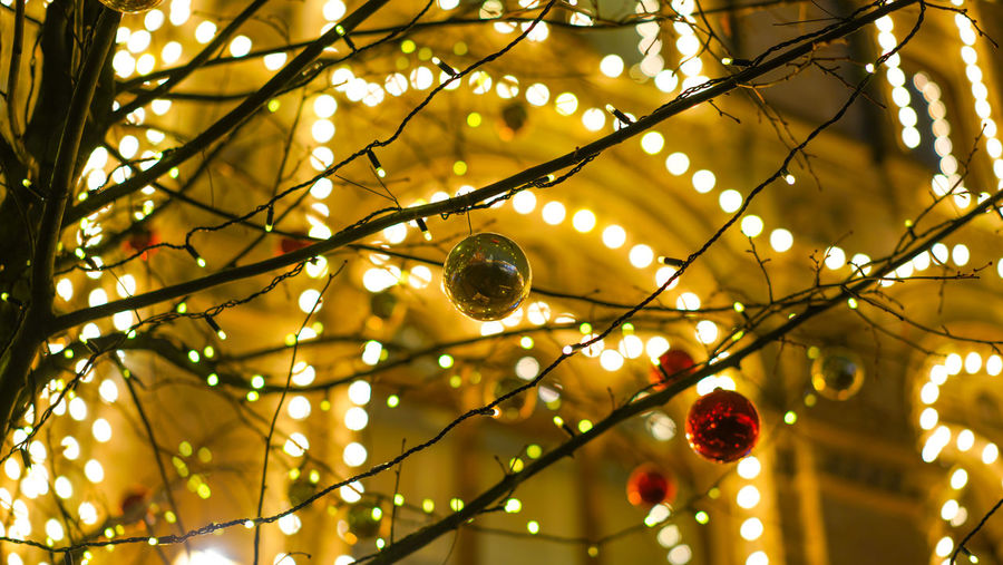 Low angle view of illuminated christmas lights hanging on tree