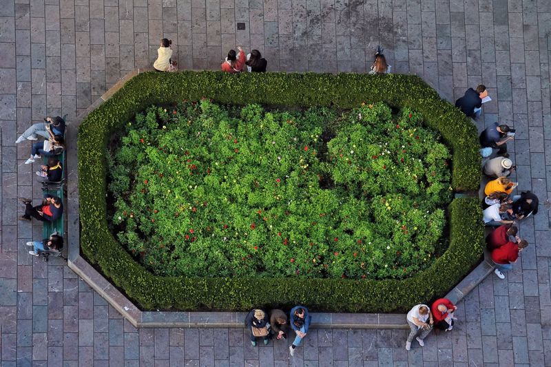 High angle view of people against plants in city