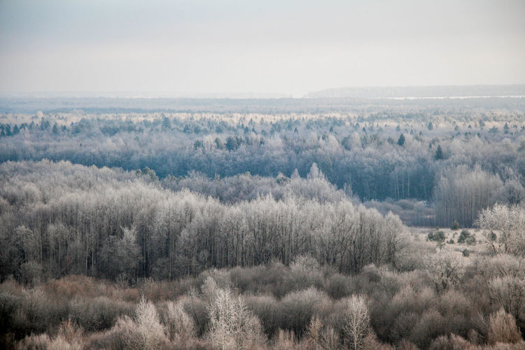 High angle view of trees on land against sky