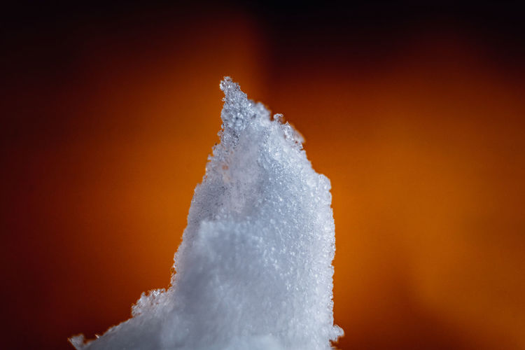 Close-up of snow covered against white background