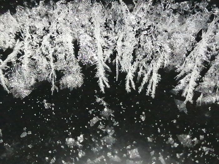 Full frame shot of icicles on tree during winter