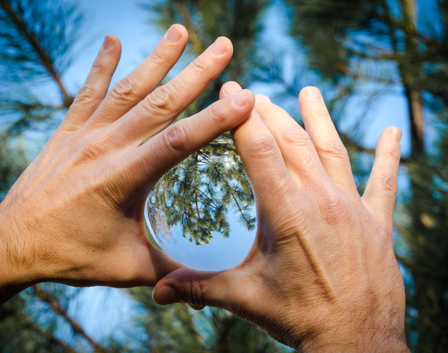 Close-up of hand holding crystal ball against plants