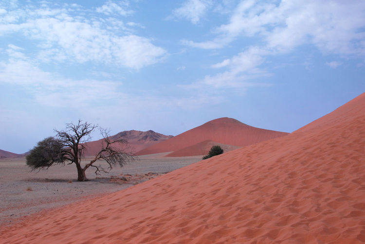 Scenic view of desert against blue sky