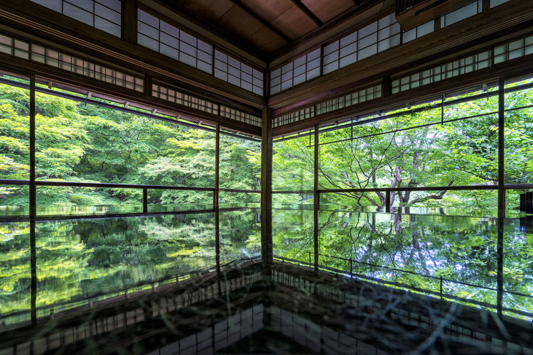Low angle view of trees and building seen through glass window