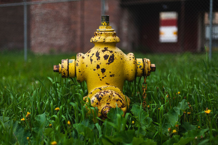 Close-up of fire hydrant on field