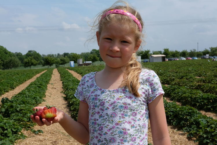 Portrait of girl holding strawberries while standing in farm
