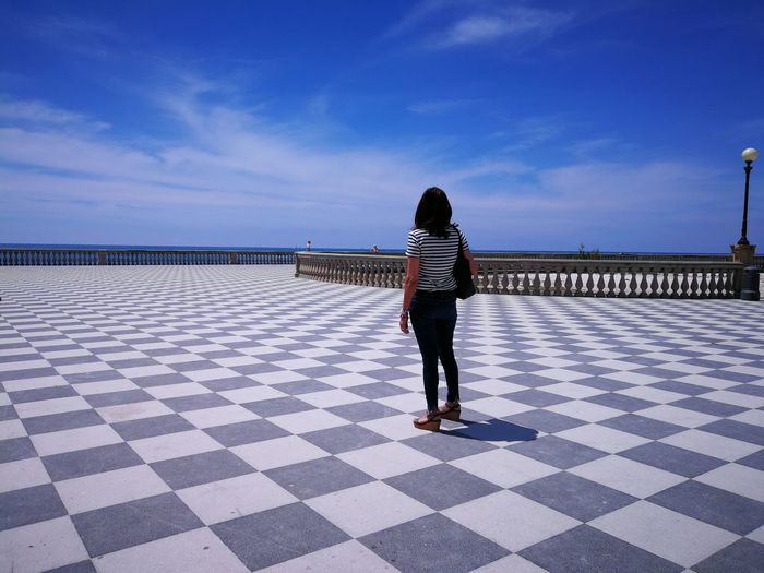 Rear view of woman standing on tiled floor against blue sky