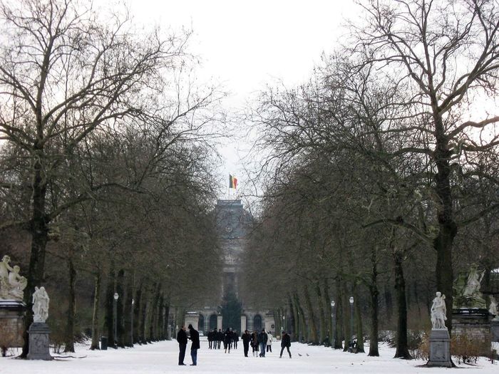 View of snow covered trees in city
