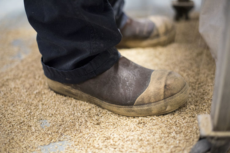 A brewers boots standing in malt at a brewery.