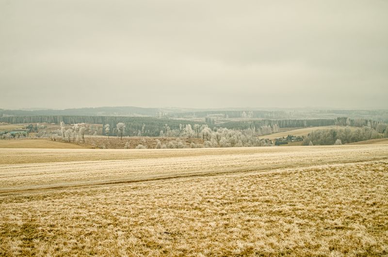 horizon