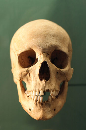 Close-up of human skull against green background
