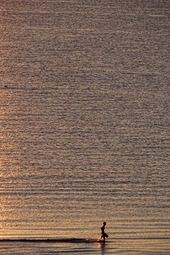 Distant view of person running on sea shore