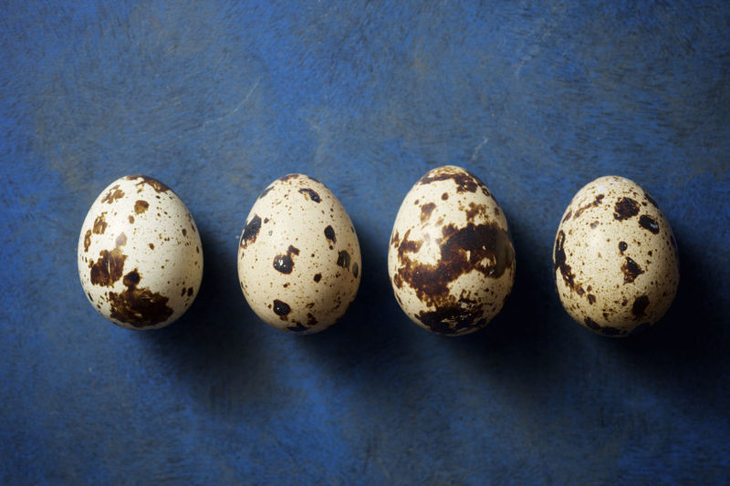 Close-up of some quail eggs.