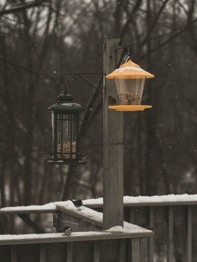 Close-up of lantern hanging on tree during winter
