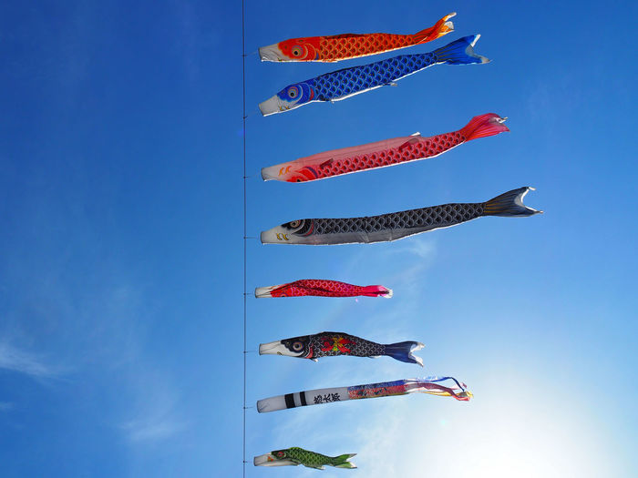 Carp streamer blowing in wind