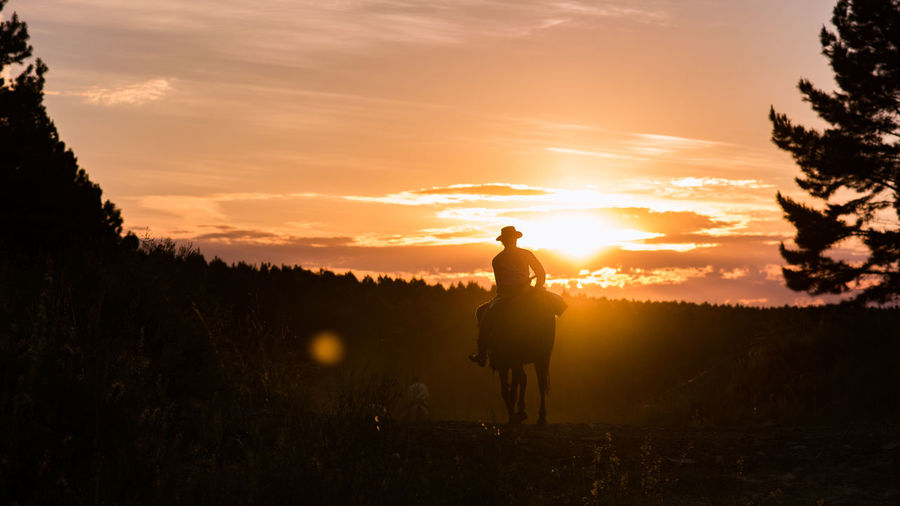 Silhouette of woman on field at sunset