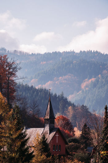 Church against trees in forest