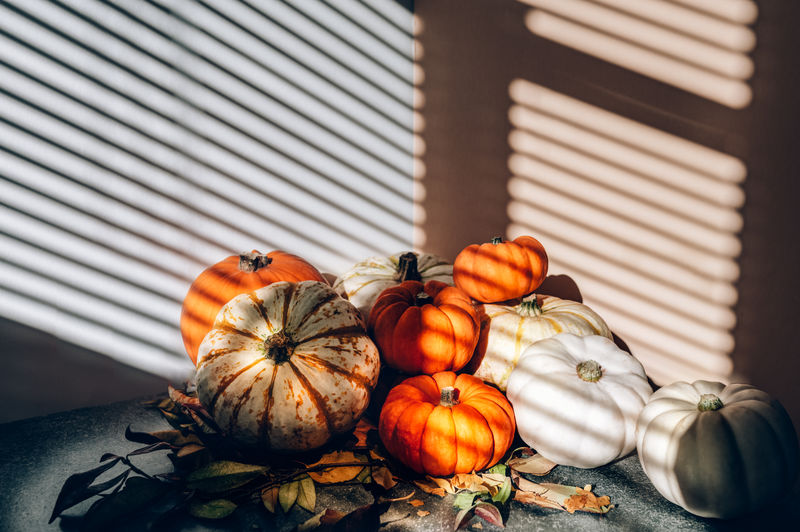 Pile of different pumpkins with strong shadows. halloween or thanksgiving holiday backgrounds 