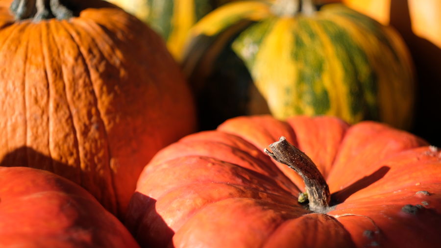 Close-up of pumpkins at market