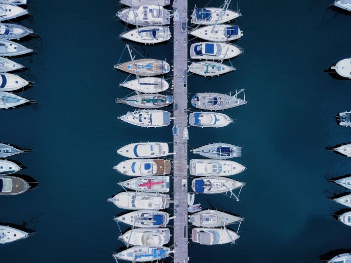 Sailboats moored in water in a marina